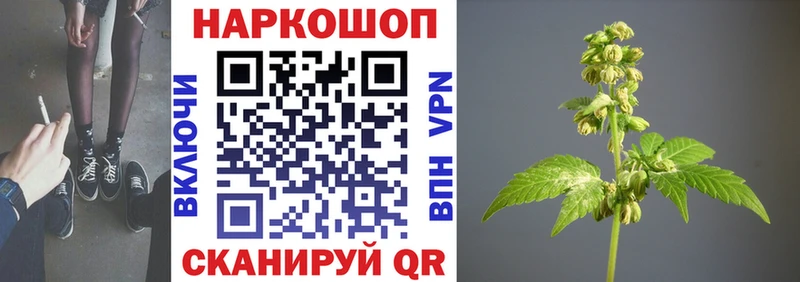 Марихуана Ижевск