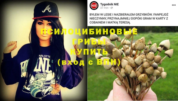 прущая мука Ессентукская