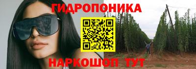 дживик Кандалакша