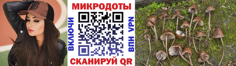 Псилоцибиновые грибы MAGIC MUSHROOMS  Ижевск 