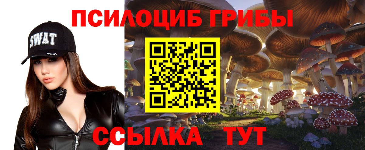 Россия  Галлюциногенные грибы Psilocybine cubensis  Вход с VPN 
